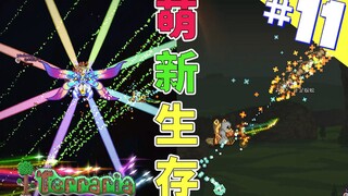 Terraria Newbie Survival 11