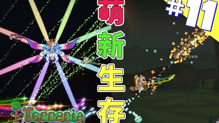 Terraria Survival untuk Pemula 11