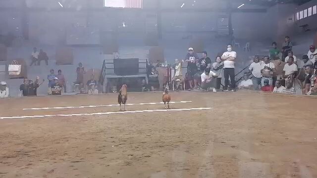 taytay arena first fyt showdown