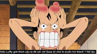 Những người thầy vĩ đại nhất trong One Piece p1