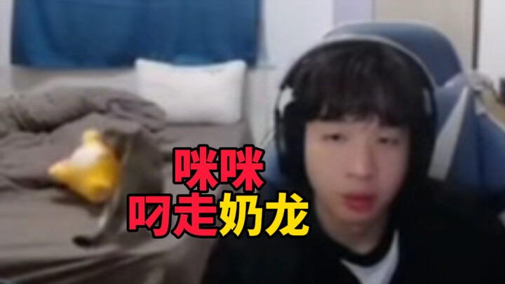 飞莎儿咪咪叼走奶龙案发现场