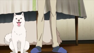 Elegant Youkai Apartment Life - Episode 24