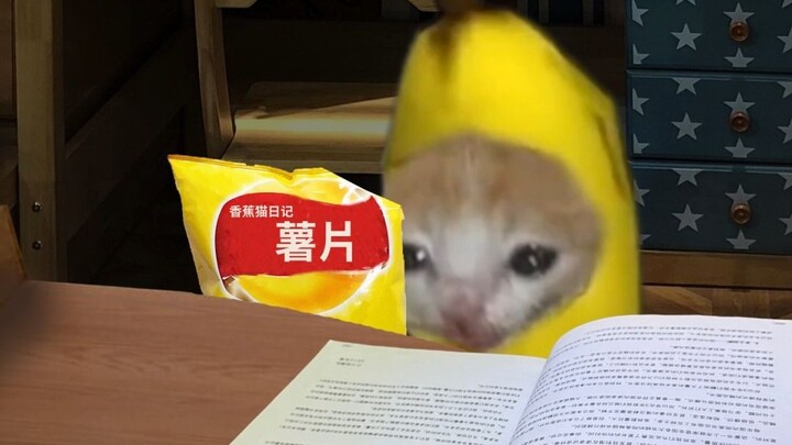 Learning to Feed the Hungry Banana Cat (Part 2)