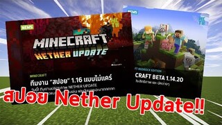 หลุด! ภาพสปอยของ Nether Update