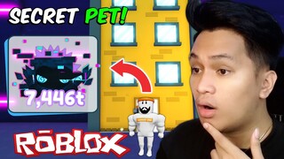 Pet Simulator X - ROBLOX -  GLITCH CAT | BAGONG SECRET PET NI PRESTON