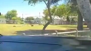 Trao trái tim của bạn.gif