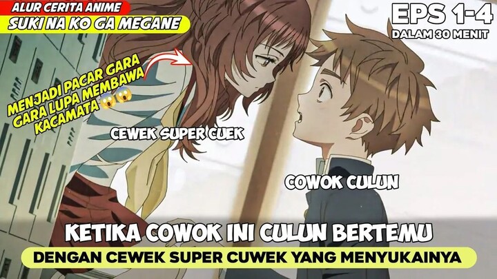 COWOK INI JATUH CINTA KARENA LUPA MEMBAWA KACAMATA - ALUR CERITA ANIME suki na k