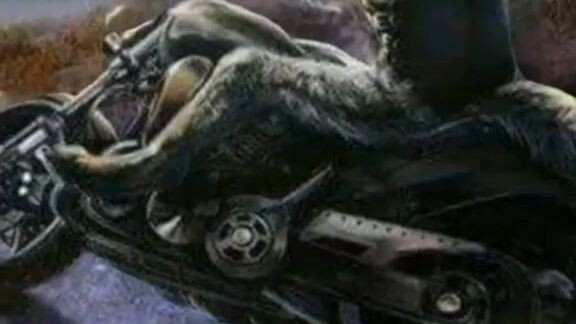 Roger Sumatra transformation