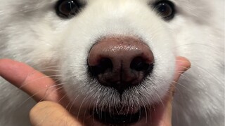 Muscular guy acting cute