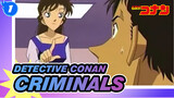 [Detective Conan] Criminals: Just Destory It All. I'm Tired (part1)_1