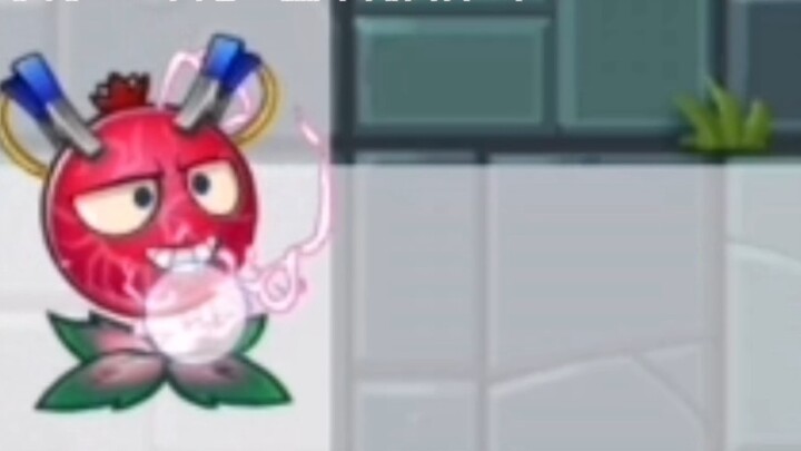 เมื่อผู้เล่นเชื่อมต่อคู่ลูกเกดปัจจุบันคู่แรกเข้าด้วยกัน...