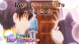 Kitten Inspiration - My Roommate is a Cat First Impressions