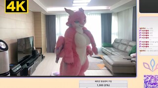 【Fursuit Dance】Elsprada-INDUSTRY BABY