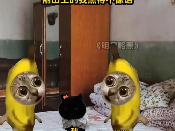 Tôi là cô gái đen nhất làng, "Vầng trăng hơi đen" #meme mèo# truyện ngắn cực hài# kịch ngắn meme mèo