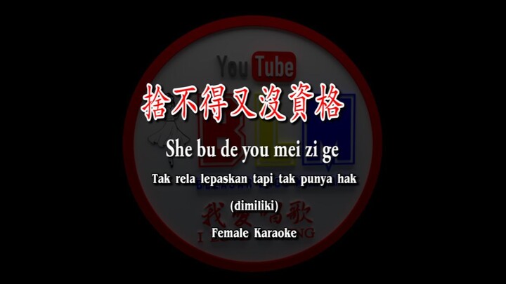 She bu de you mei zi ge - 捨不得又沒資格 - Female - Karaoke