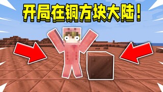 เมื่อคุณเริ่มต้นที่ทวีป Copper Cube! โลกทั้งใบเป็นทองแดง คุณจะเอาชีวิตรอดได้อย่างไร?