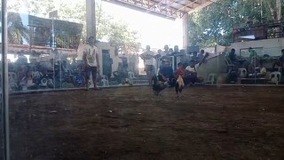 3times wnner one HIT