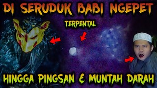 🔴 1057- PINGSAN MUNT4H D4R4H DI SERUDUK BABI NGEPET