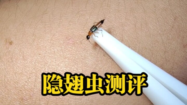 Toxicity Assessment of Staphylinidae (Rove Beetles)