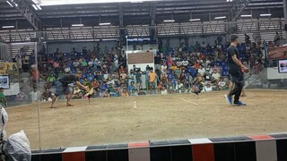 2nd fight win champion 2hit ulutan nmca 4xwinner na si hiraw
