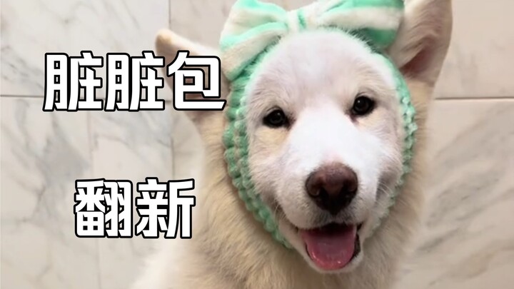 Kisah Renovasi Si Anak Anjing dengan Roti Dirty Choc!