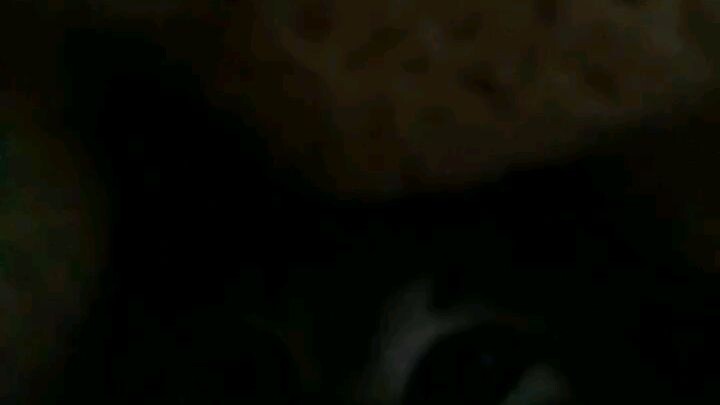 My first day with neko-channn!!!!:333