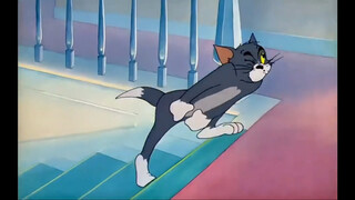 Alcohol makes a timid cat brave