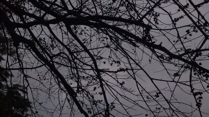 thêm màu sắc thôi