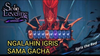 NGALAHIN IGRIS SAMA GACHA WANGY | SOLO LEVELING: ARISE