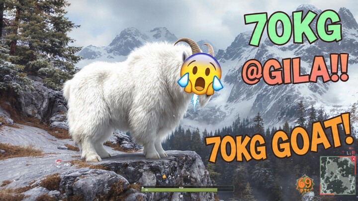 Berburu Mountain goat hampir 70kg gays 😱