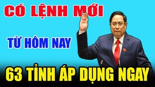 Tin tức nóng và chính xác ngày 11/08||Tin nóng Việt Nam Mới Nhất Hôm Nay/#TTM24H