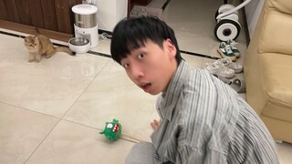 "Is this your first time raising a cat?"