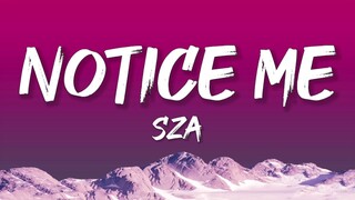 Sza - Notice Me (Lyrics)