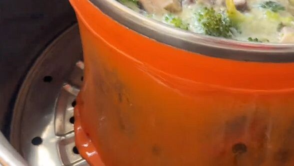 [Homo Sapiens TV] The Wire-Stranding Pot Thing & Chinese People Can Only Buy Domestic Models, Not Ba