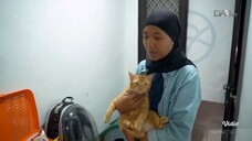 DAAITV HD •  BERITA SEPUTAR KUCING VIRAL TEK TOK • [ 17 SEPTEMBER 2025 ] [ LIVE STREAM VIDIO TVOD ]
