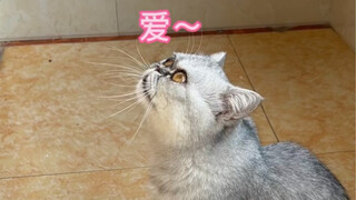 Ya ampun, benar-benar paham sekali