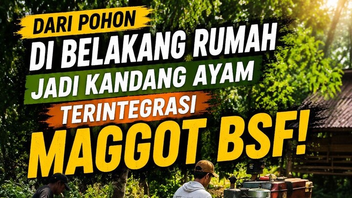 Membuat komponen kandang ayam terintegrasi Maggot BSF