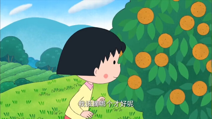 明媚的5月，小丸子和爷爷一直走一直走，喝到了好喝的新茶，摘了好吃的蜜柑