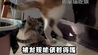 Dog: “Bao Yi Si! Bao Yi Si! I thought you weren’t home, so I got a little too relaxed!” #Funny #Cute