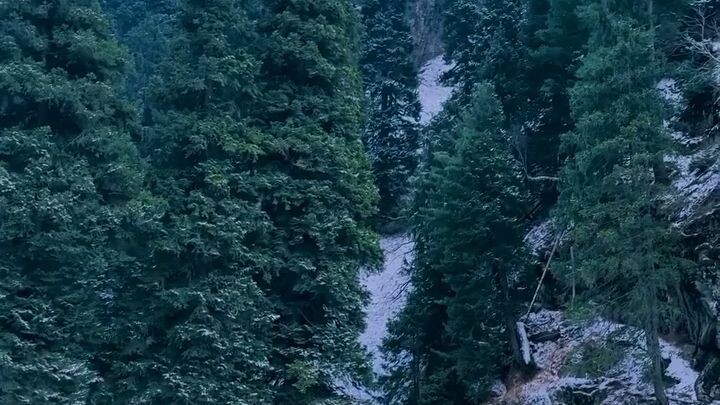 kashmiri #nature video