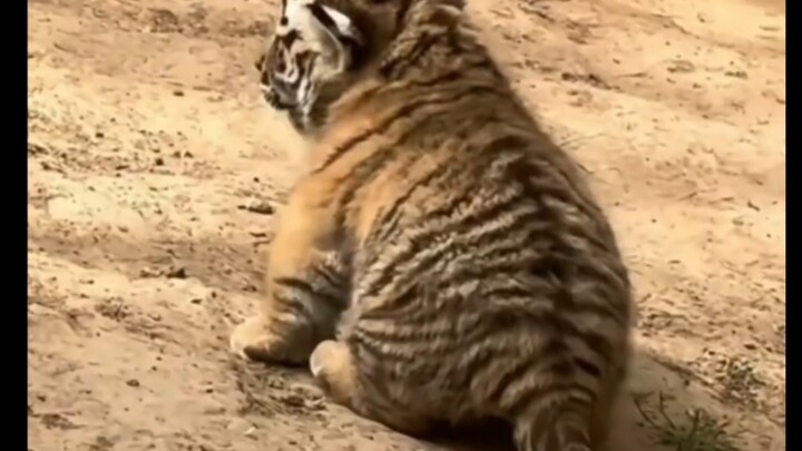 มันอยู่ที่ไหนเนี่ย ไปขู่ใครกันแน่?