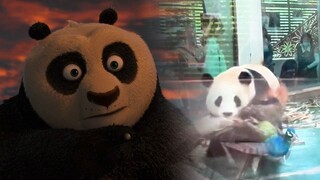 功夫熊猫：现实版的阿宝打沈王爷，你记住了天才只是见我的门槛！
