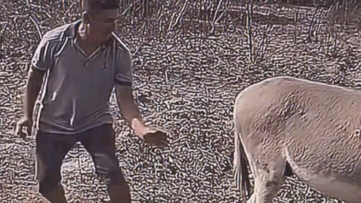 My second uncle’s never run this fast in his life.