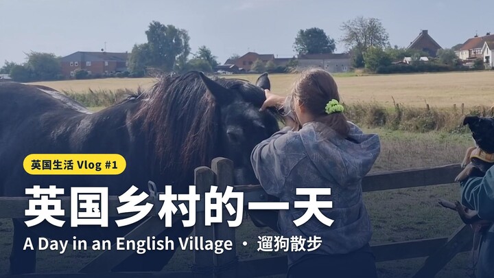 英国乡村的一天｜带着家人和狗狗散步，聊聊我们在英国的真实生活 Vlog #1