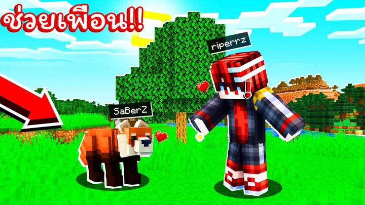 ช่วยเพื่อน!! แปลงร่างเป็น "แพนด้าแดง" สุดน่ารัก!! [Minecraft ช่วย]