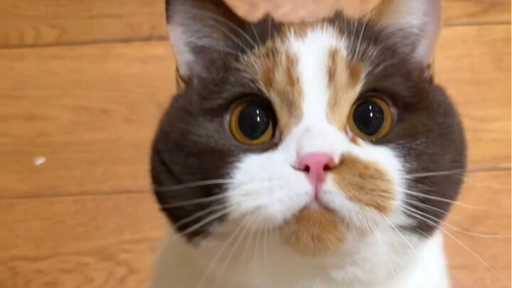 The baby can even stand up now!