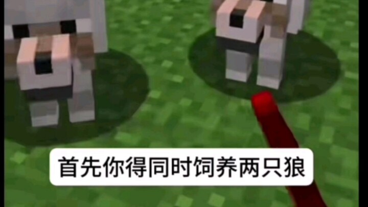 مود MC: تكاثر الكلاب