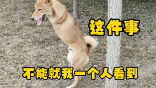 I can't be the only one seeing this!