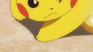 Pikachu bekerja terlalu keras untuk mencarikan istri untuk Xiaozhi!