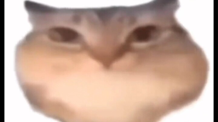 بابابو بتكبيرات مختلفة